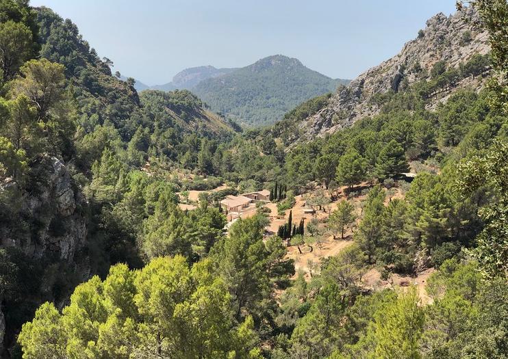 Puig de Galatzo Nature Reserve (La Reserva Puig de Galatzo)